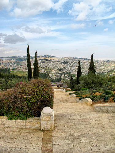 Jerusalem View