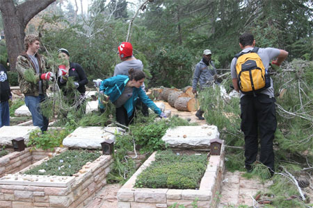 Birthright Cleans up Mt Herzl Cemetery
