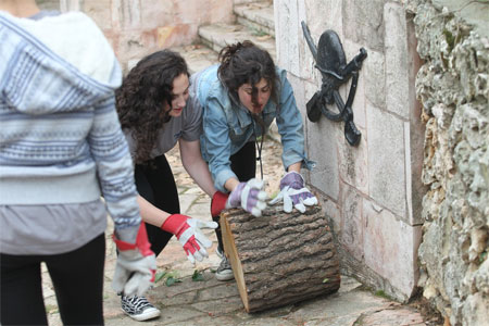 Birthright Cleans up Mt Herzl Cemetery