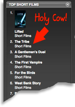 The Tribe Rocks iTunes